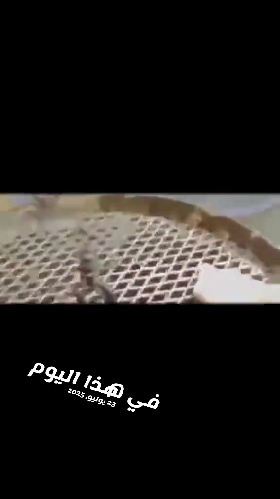 @اسطنبول احلا ذكريات 1