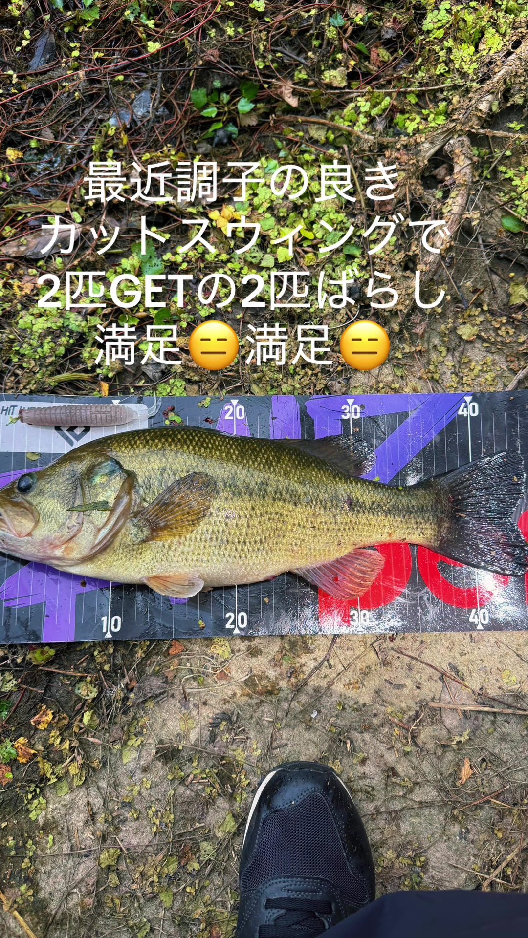 @片田舎のおっさんブラックバスを釣る