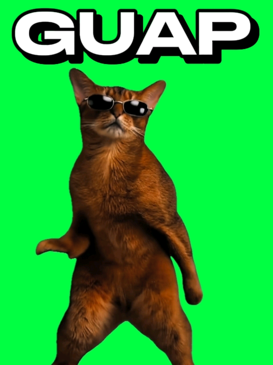 @MemeScreens