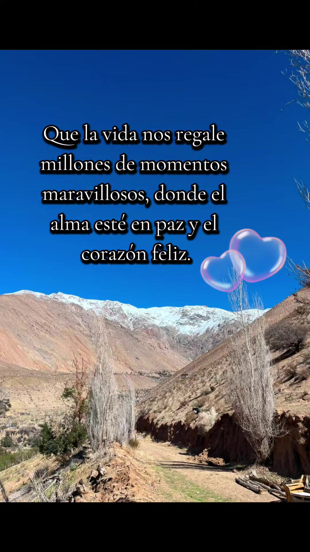 @SussyMeya🌺🦋