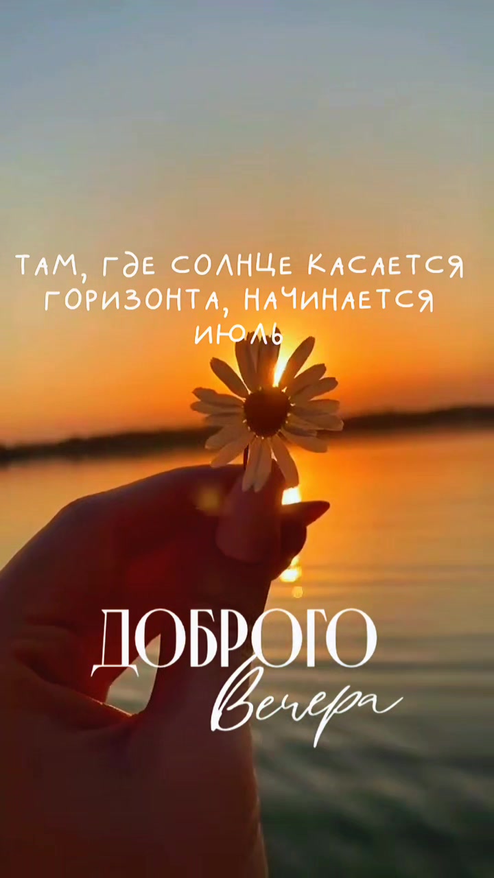 @☆꧁✬◦.𝒱.𝒮𝒽 .✬꧂☆