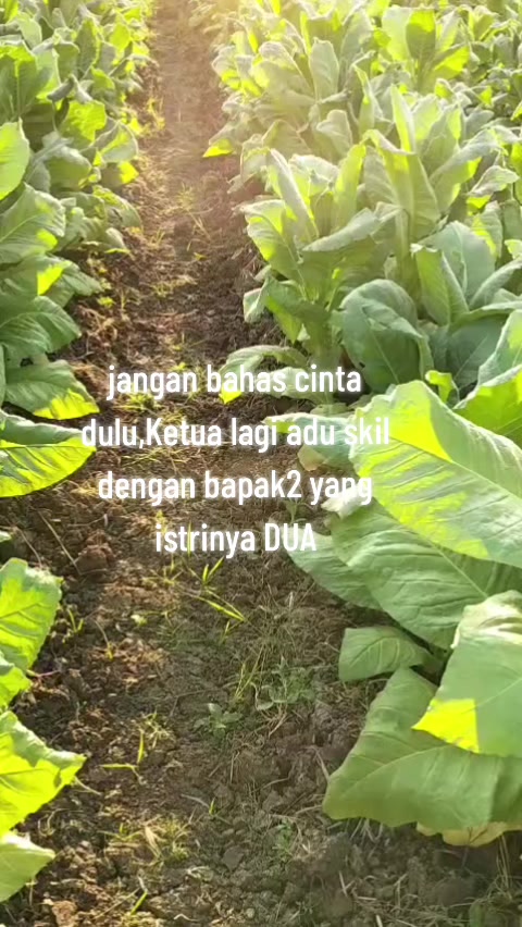 @R.RESTU๐ซถ๐ผ