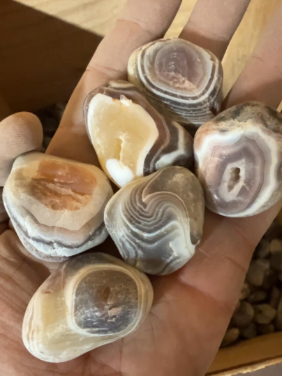 @Michigan Rocks
