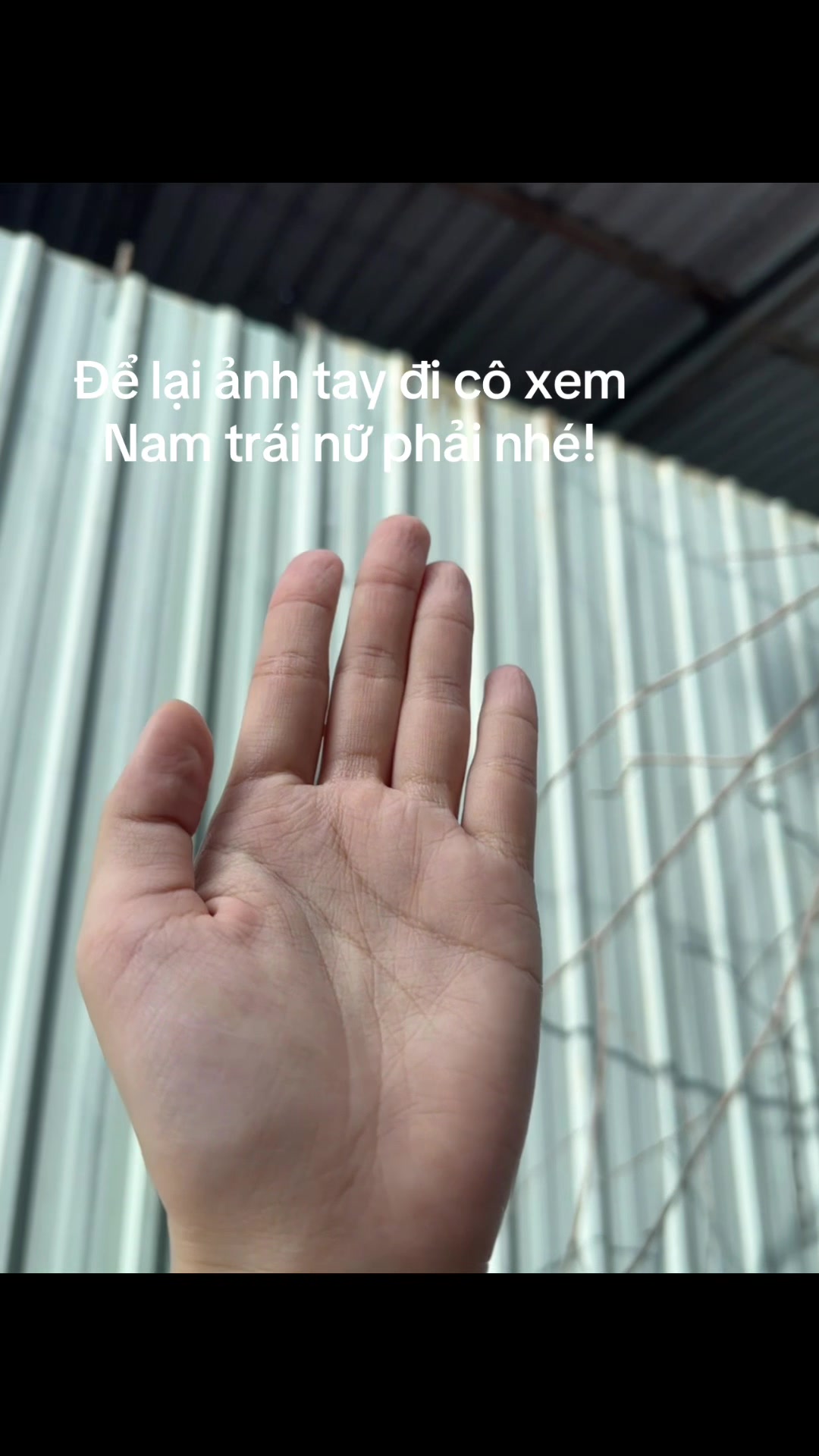@Xem chỉ tay,tử vi(ph&iacute; tuỳ t&acirc;m)