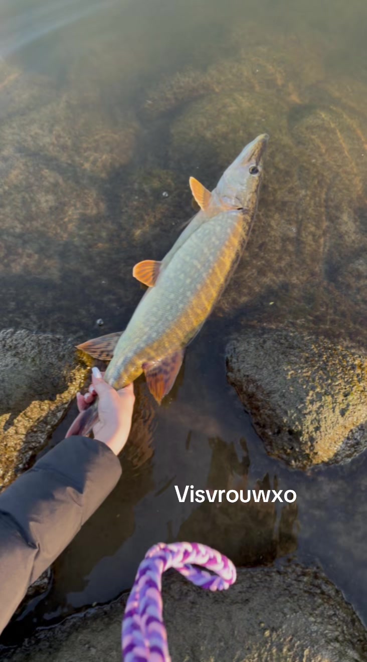 @visvrouwxo🐠
