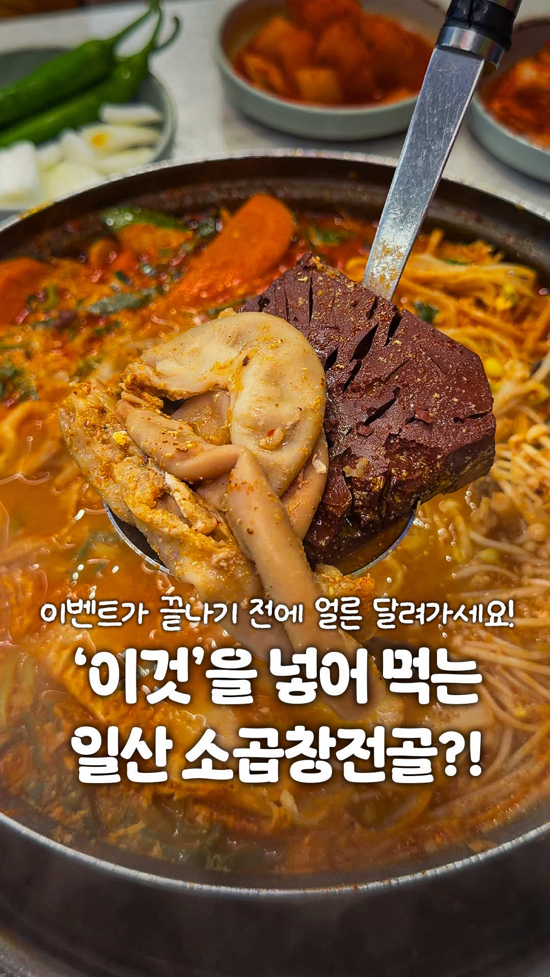 @일산갈고양