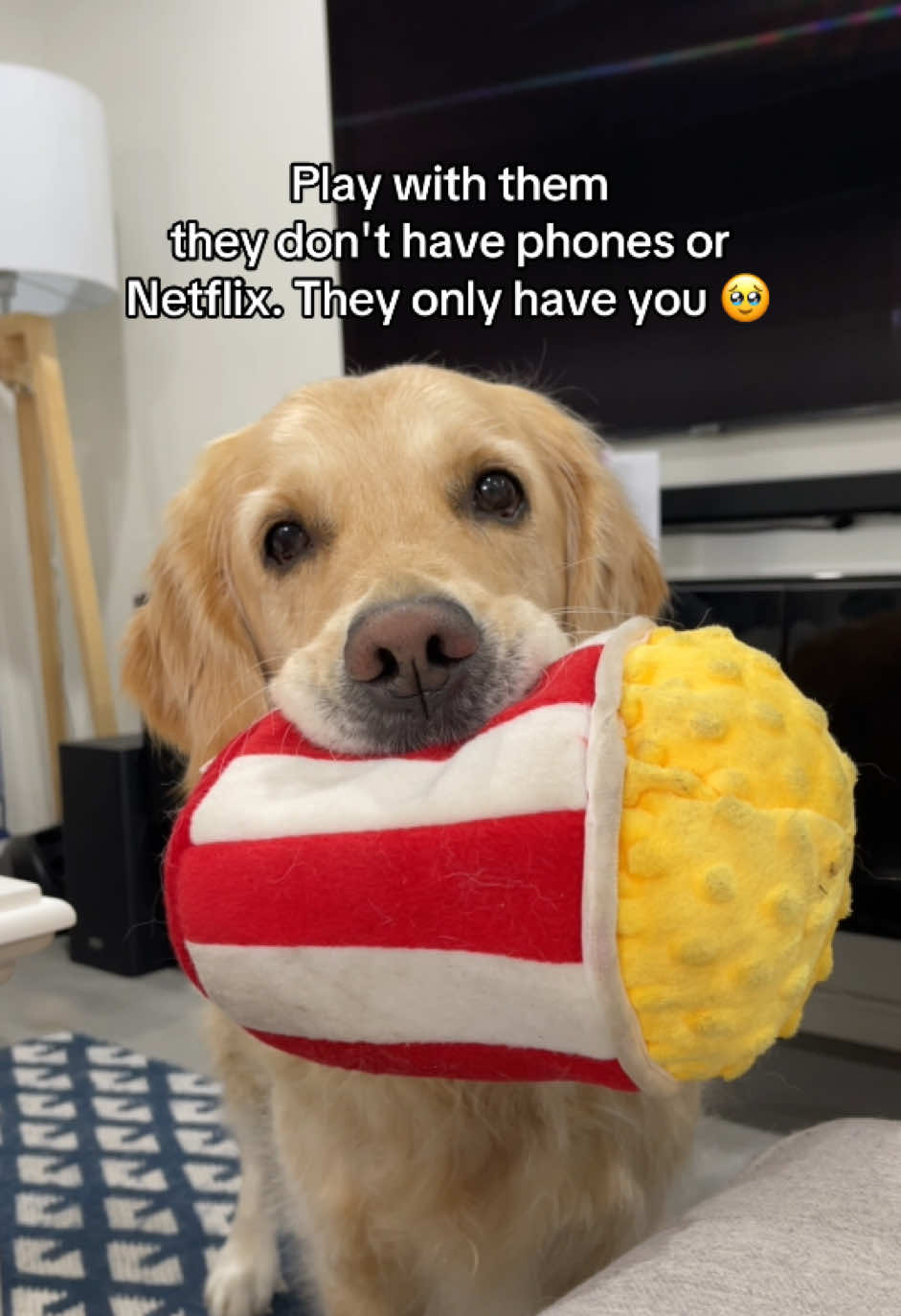 @lunas_golden_life
