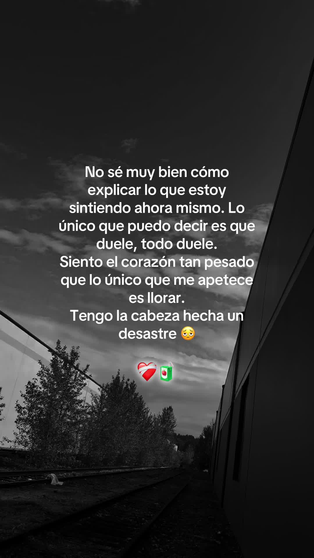 @Lobo Solitario ๐บ๐บ