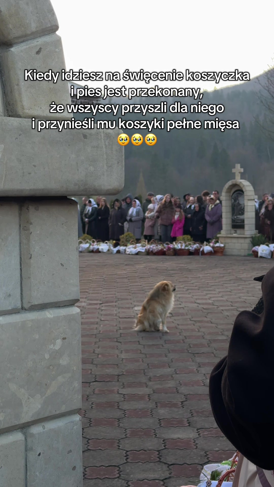@Bruniacz