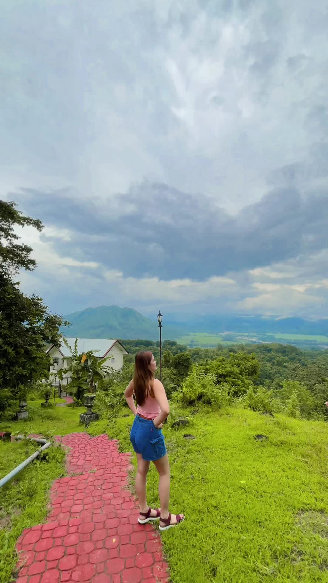 @셜리 메르카도