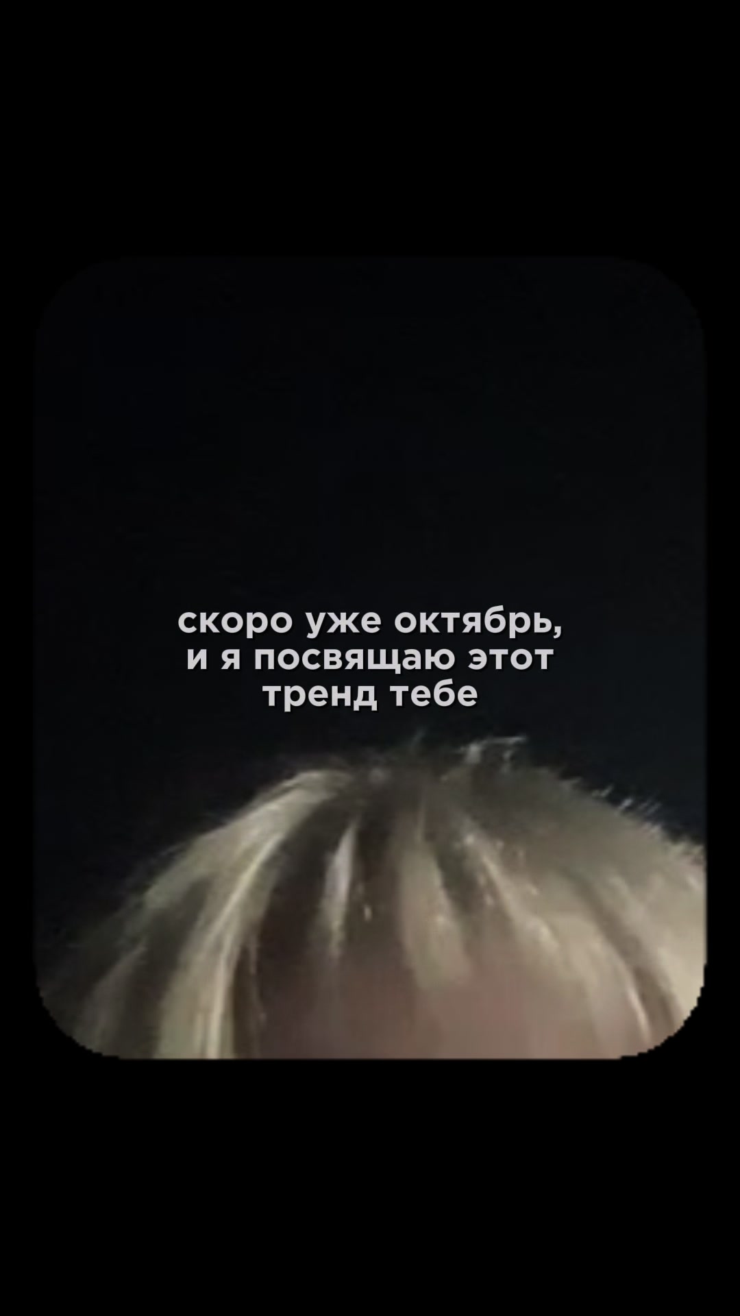 @meowqq_rr