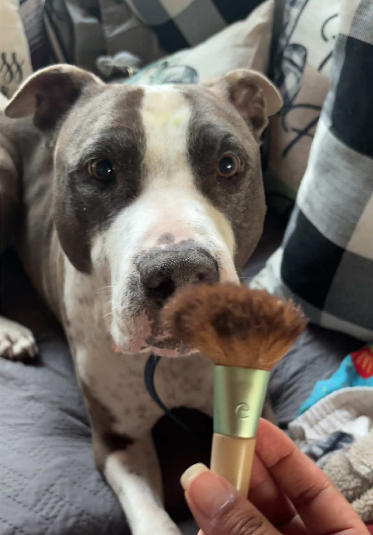 @caponethepitty