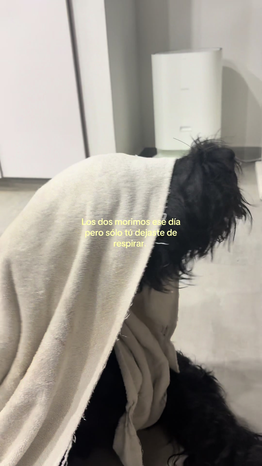 @Ibii