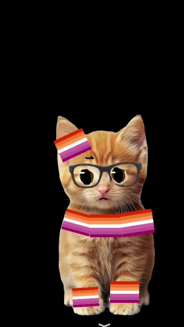 @Cici cool cat