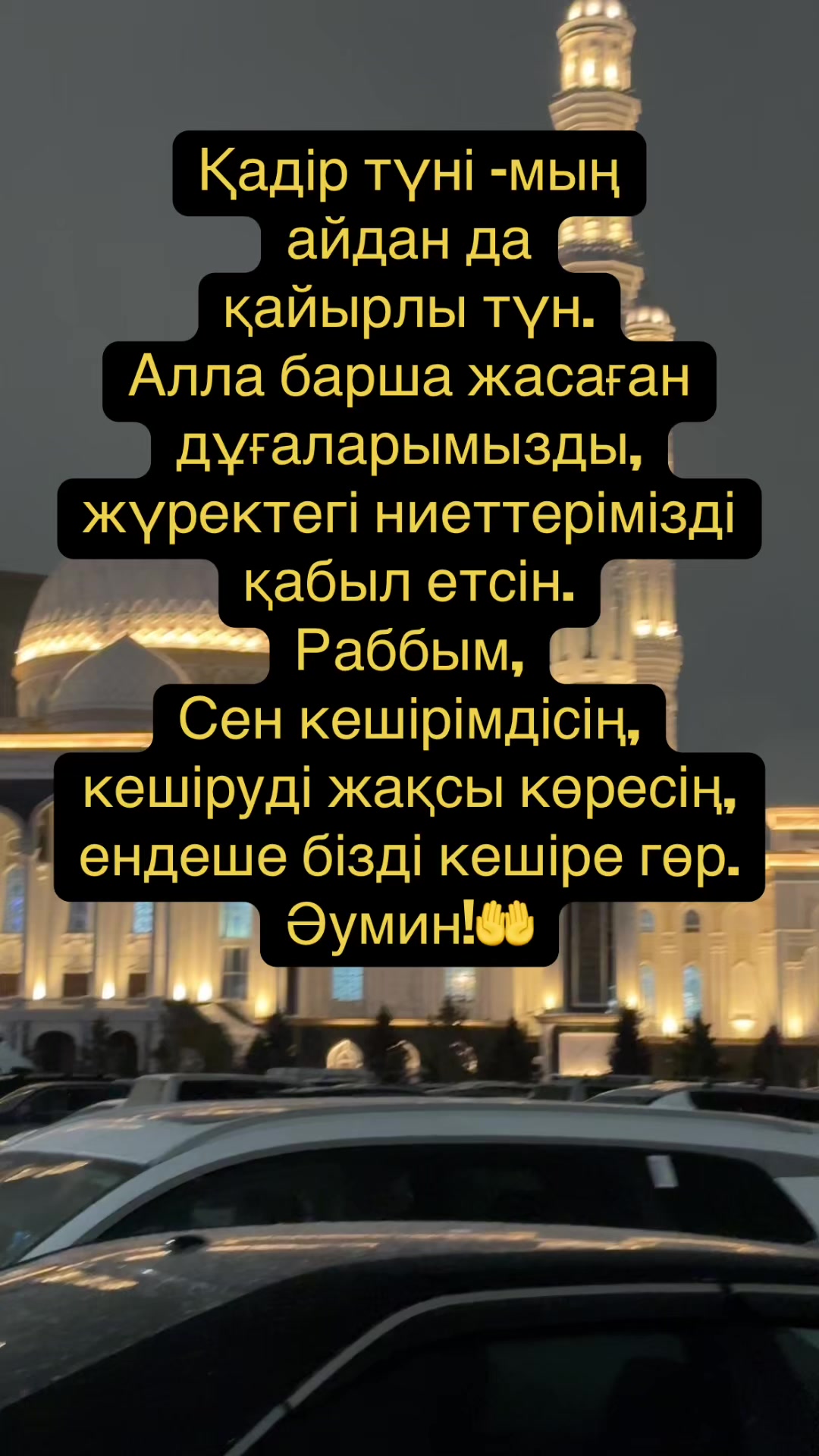 @Tleuzhanova Gulya🌸