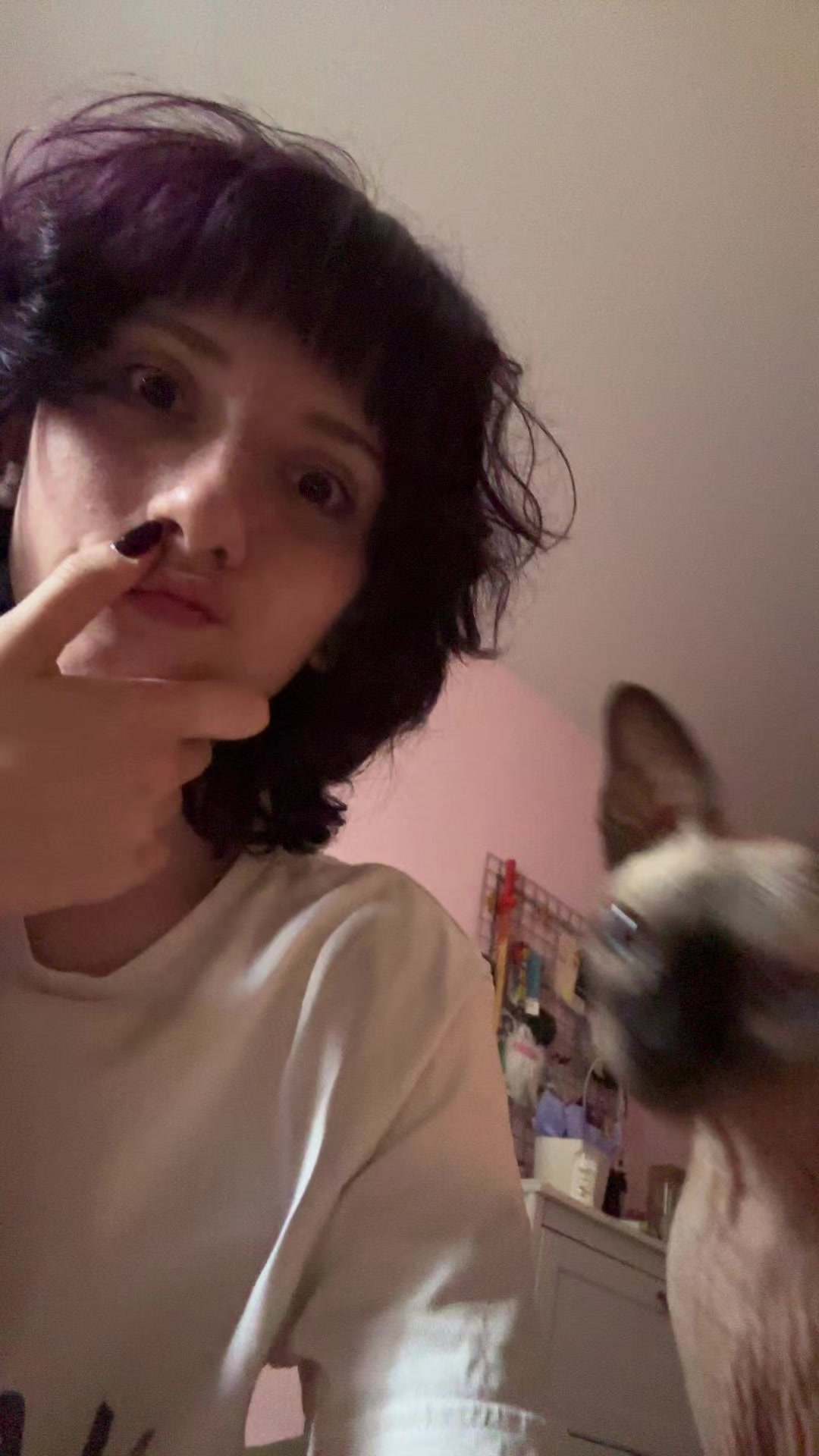 @userdalbaeb