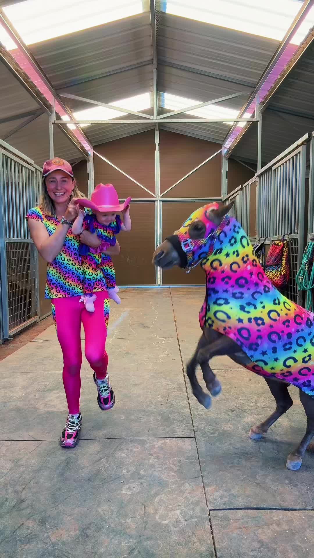 @Star Point Horsemanship