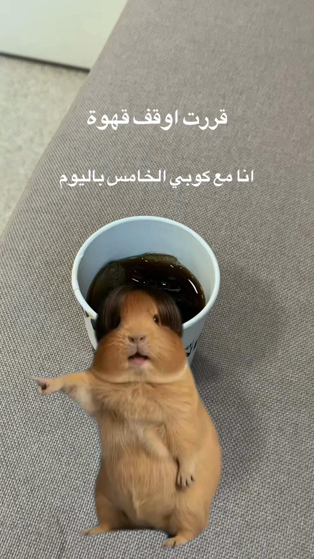 @نـوره | ١٩٩٤