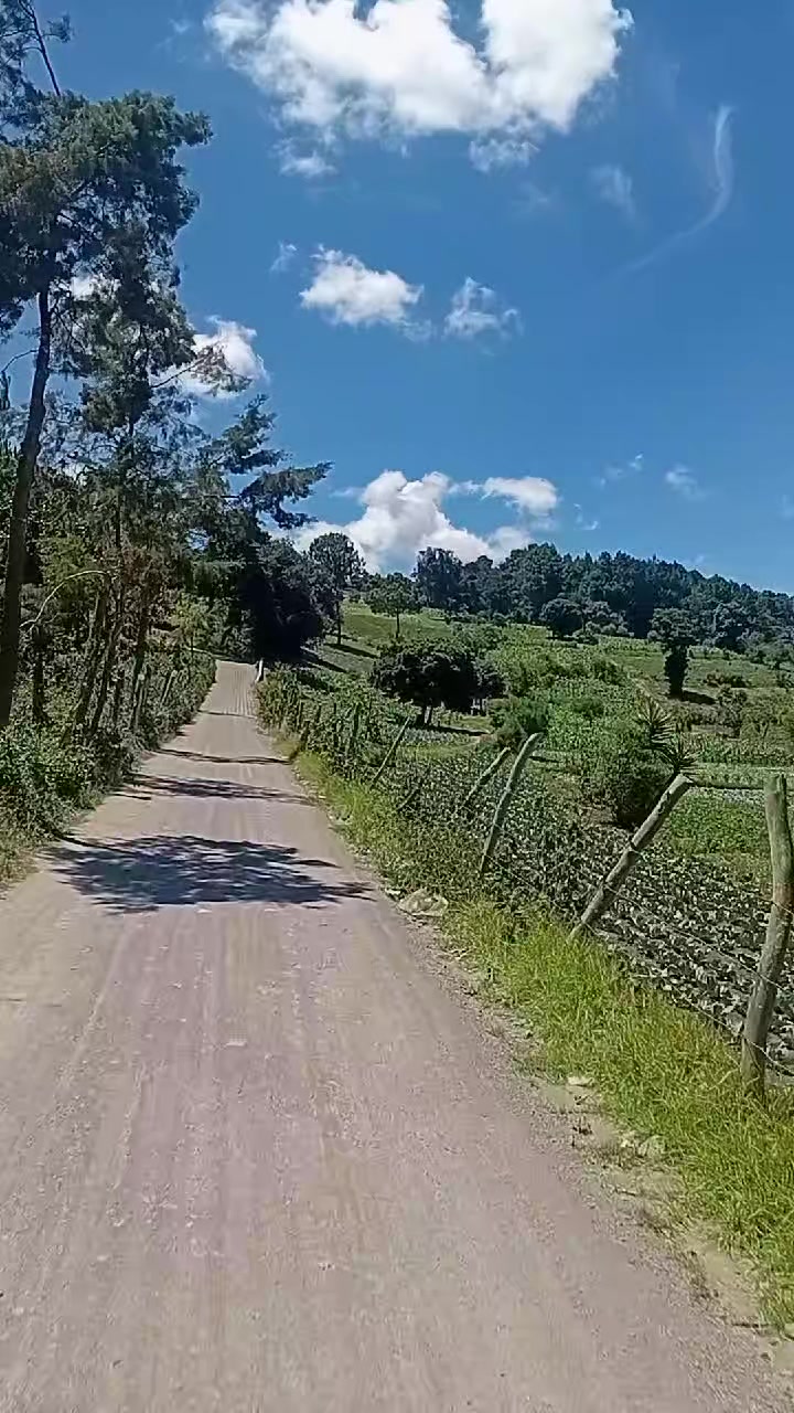 @Eriberto🇬🇹🇬🇹