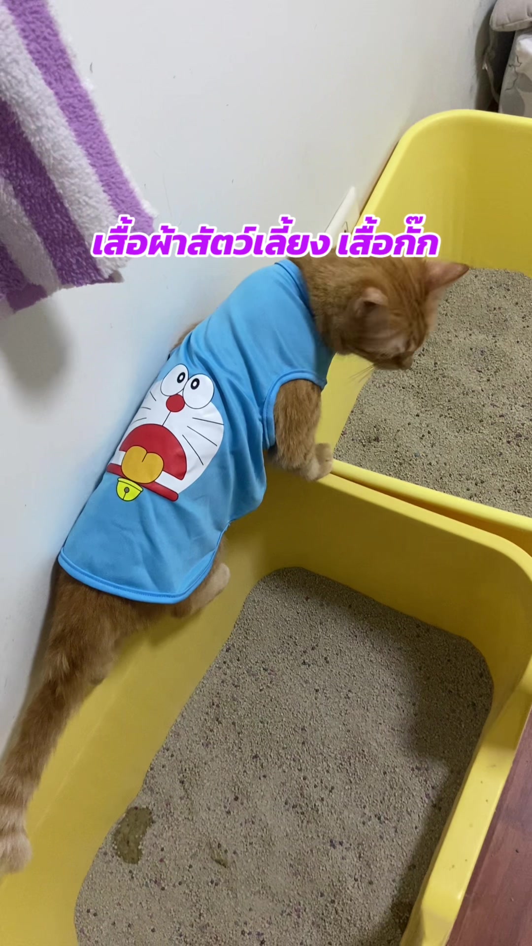 @luxsiriwan21