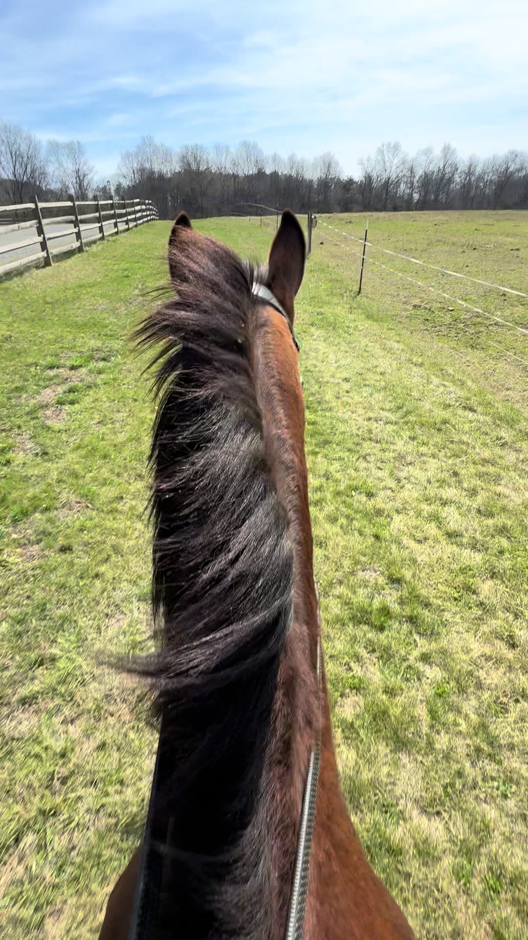 @Following_leader