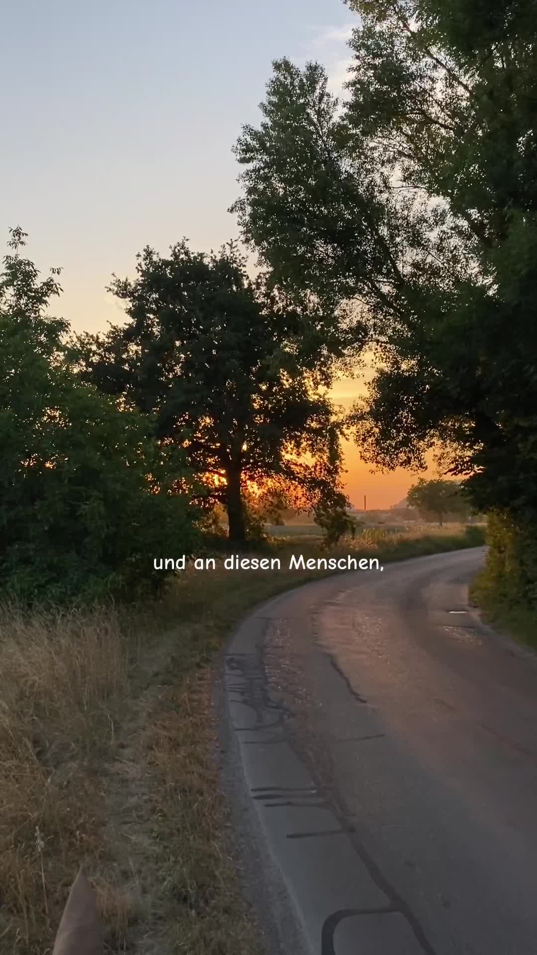 @vivienne.schindelka