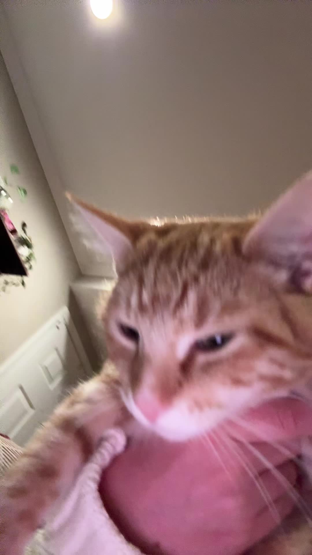 @Becky