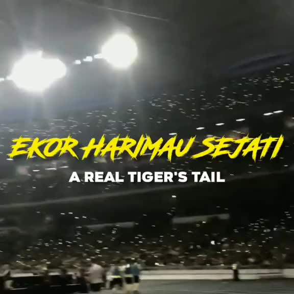 @Ultras Malaya 🐯🇲🇾