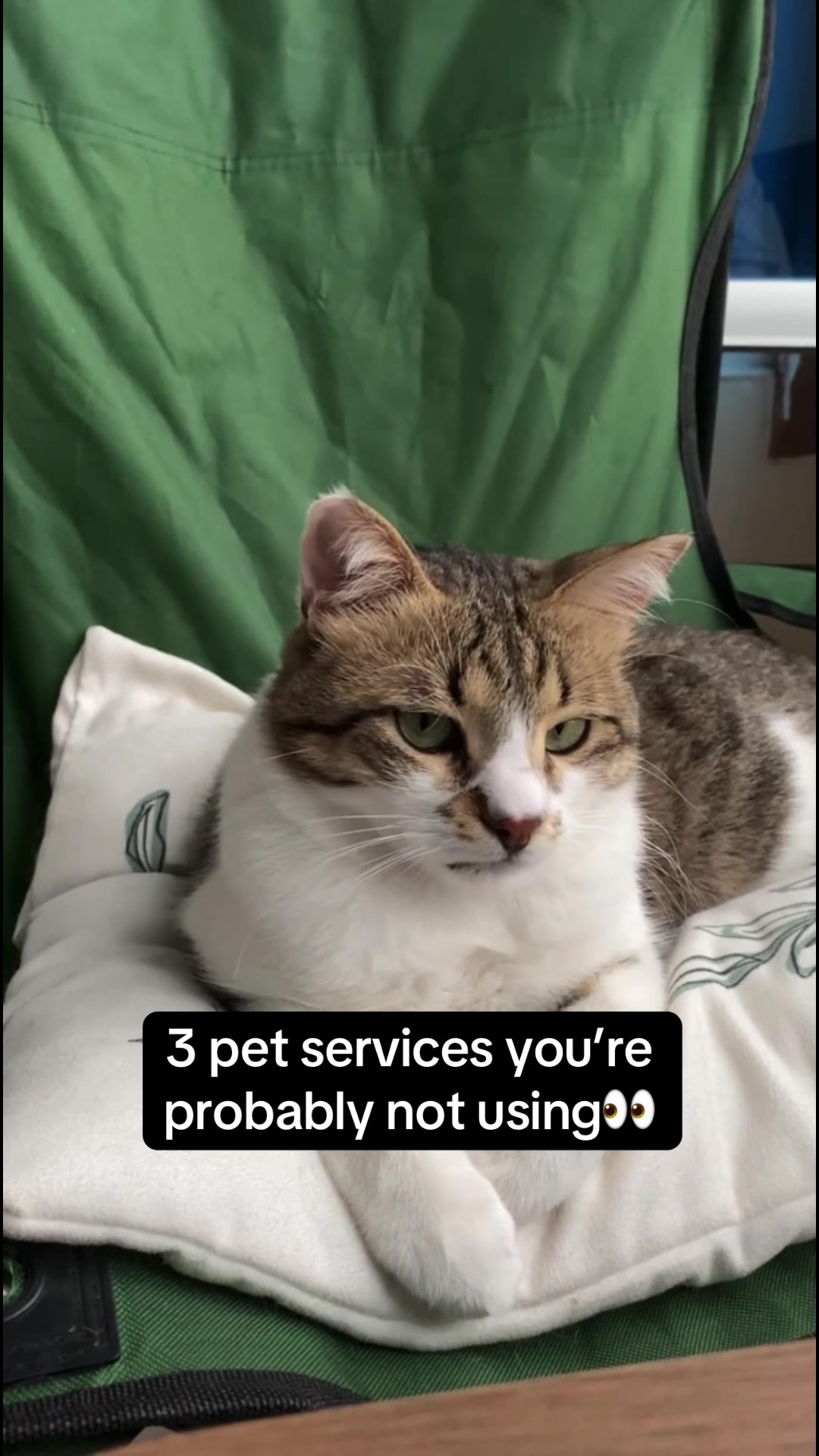 @Petworks.com