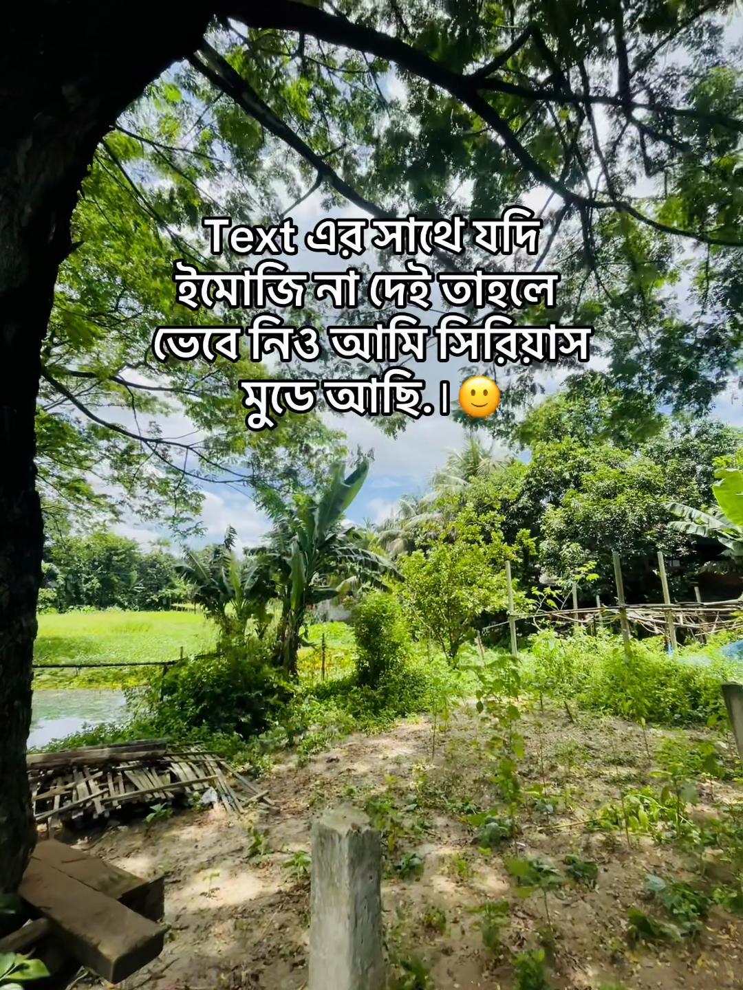 @Shahriar vaiye..🫧