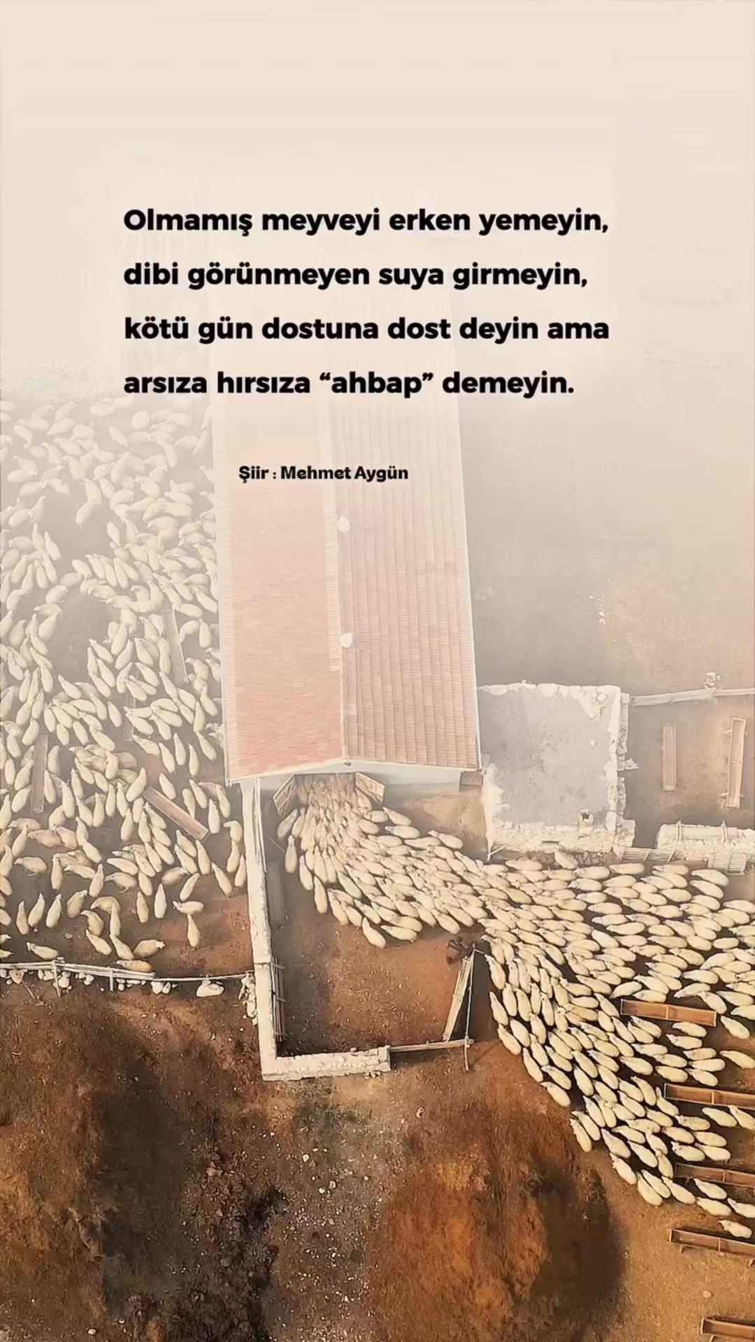 @Mehmet Aygün