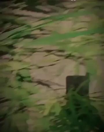 @👑 گجر جانان 👑