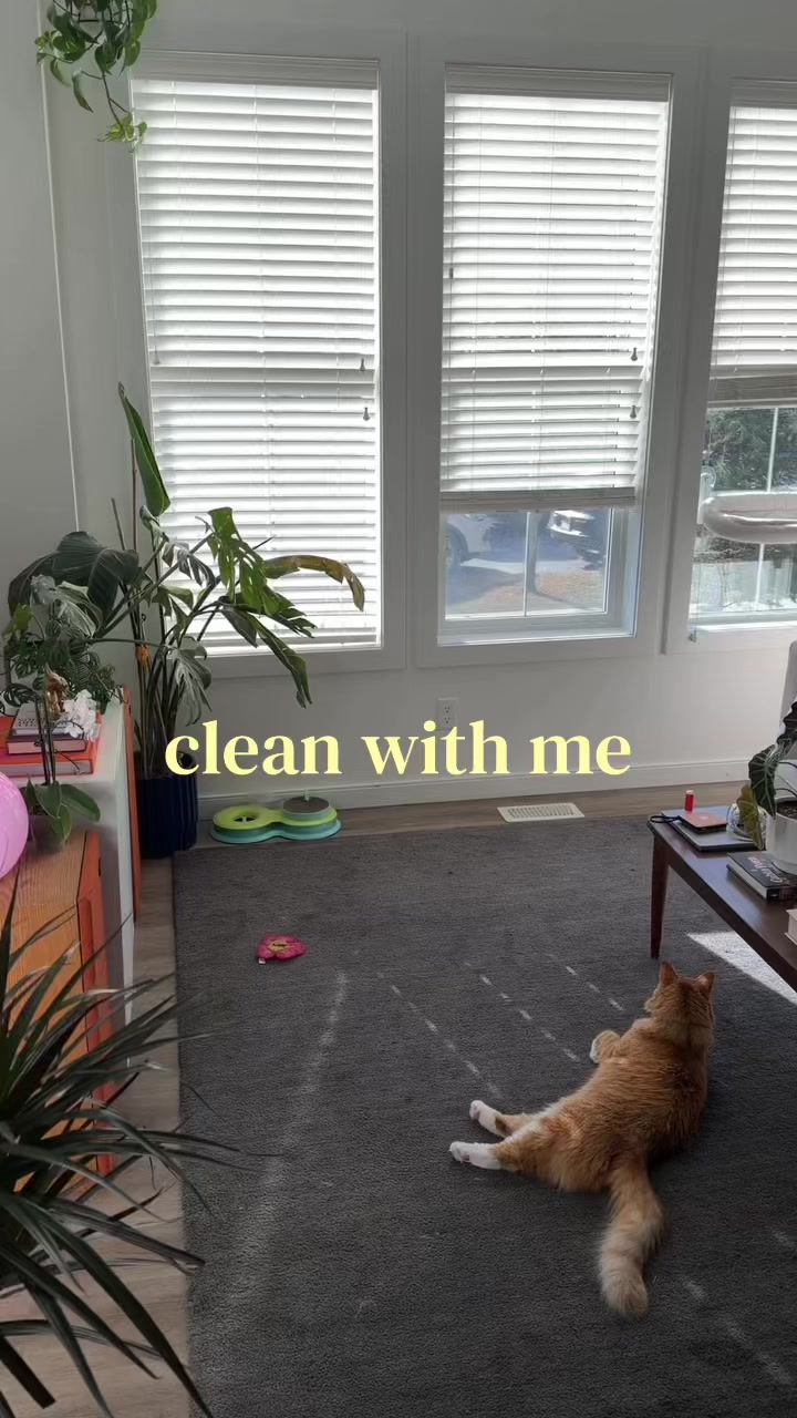 @gocleanco