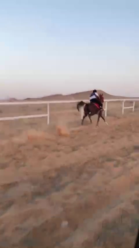 @عبدالله حمد التميمي jockey🏇🏿