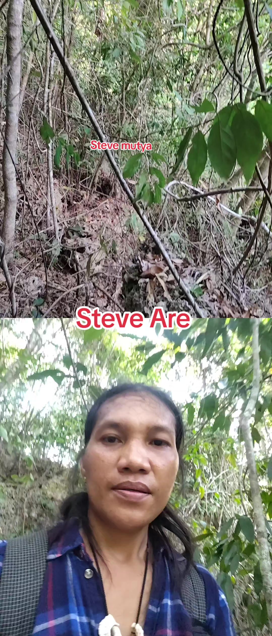 @Steve Mutya