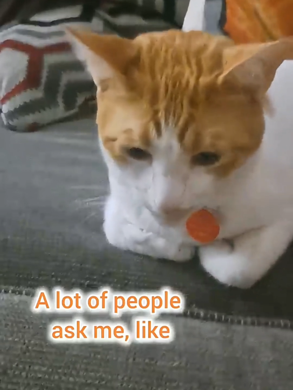 @Candice & Weasley