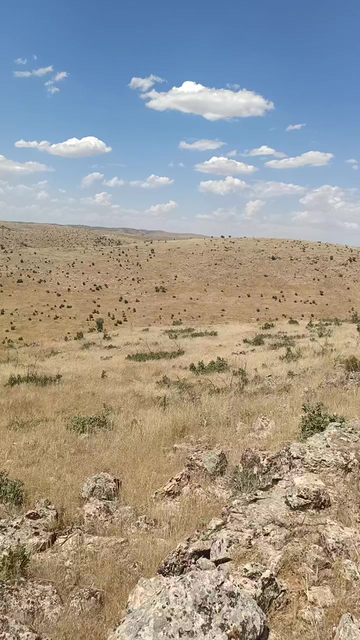 @Abdurrahim g&uuml;l