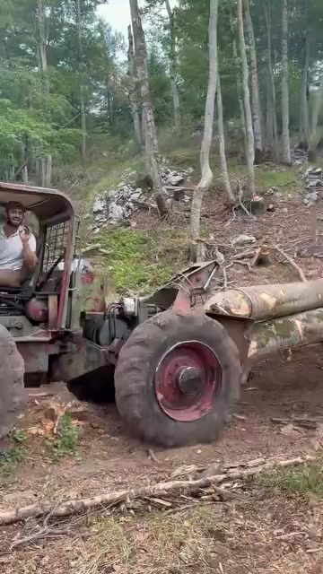 @🌲V.K🌲