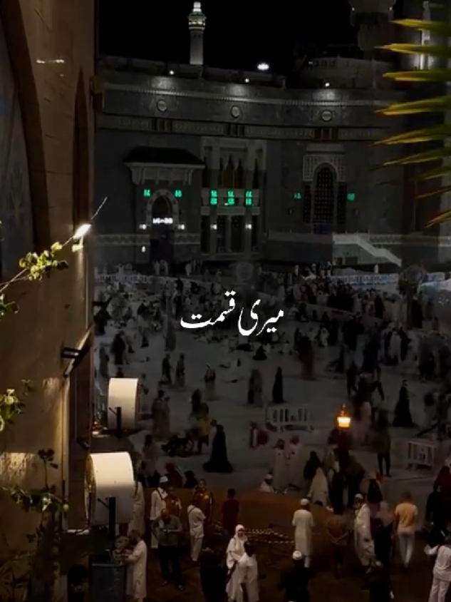 @Islamic State