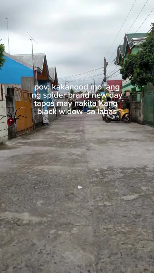 @dark zero