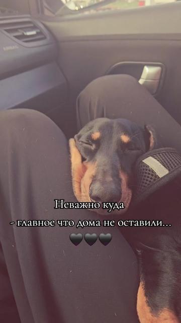 @Irina Asc