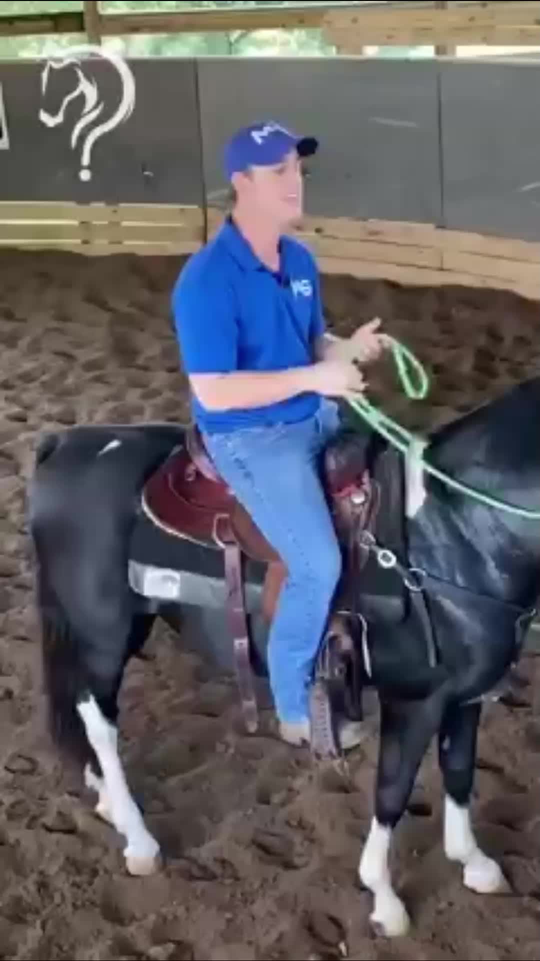 @Horse Help