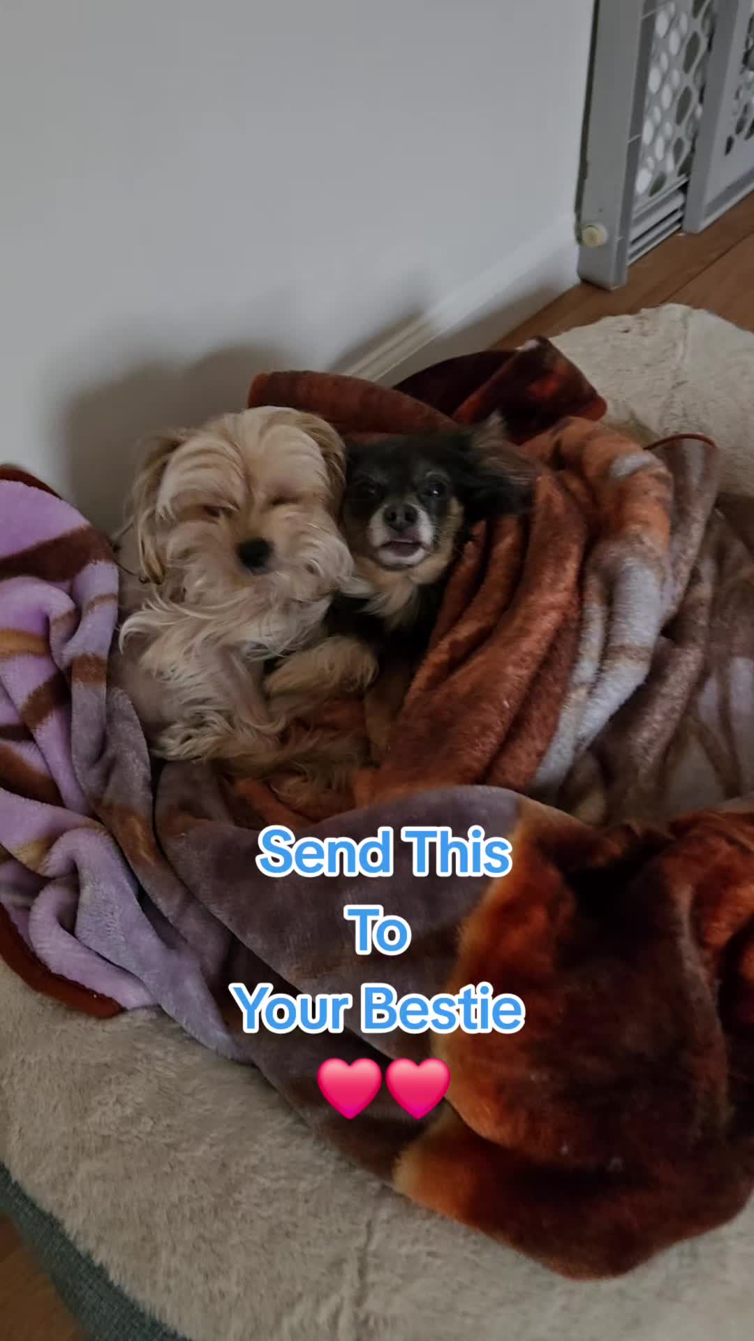 @Red