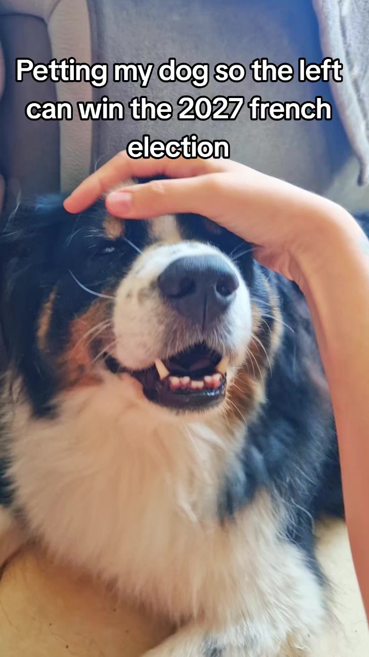 @Lofi the Aussie