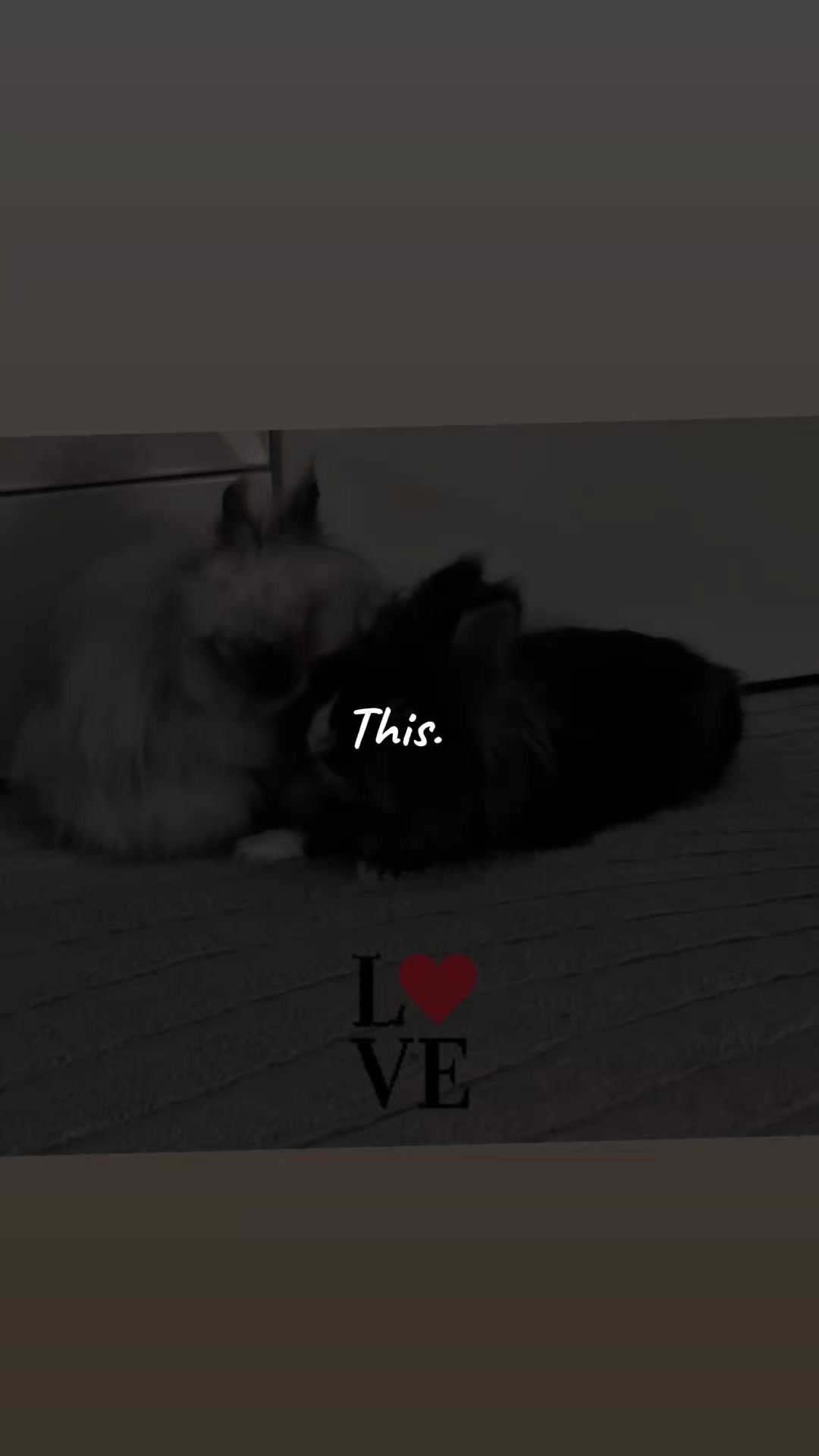 @🧡Teamvollzeitmama 🧡