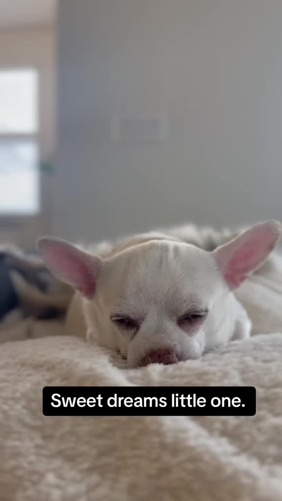 @Maximo Cornelius the Beefy Chi