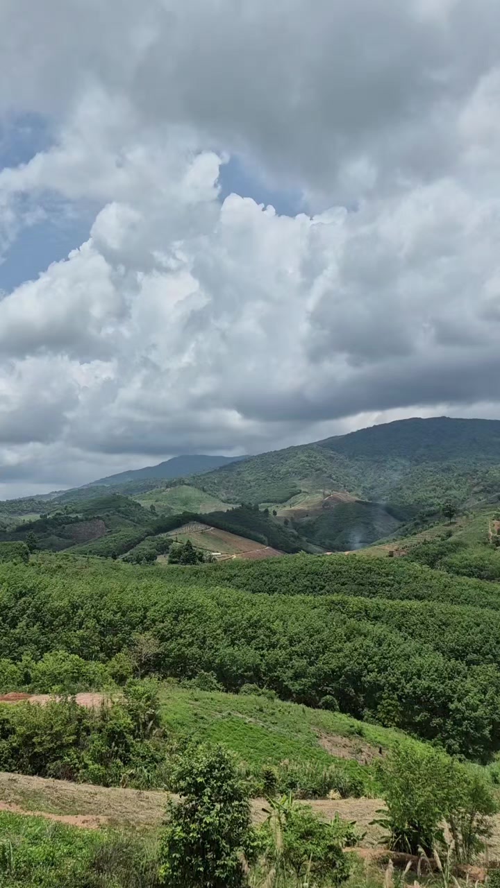 @Phanitphorn
