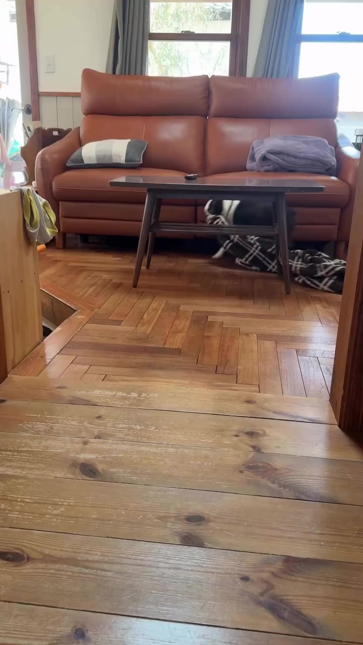 @boston.terrier.shop
