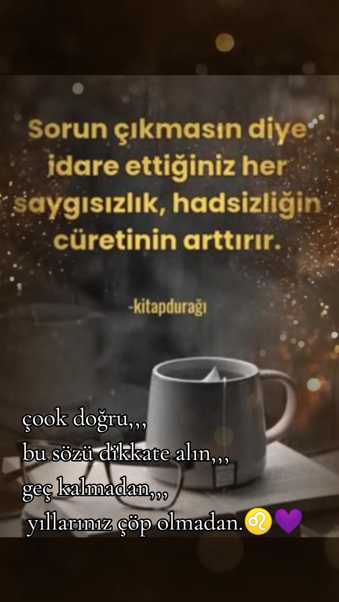 @aslaniçe