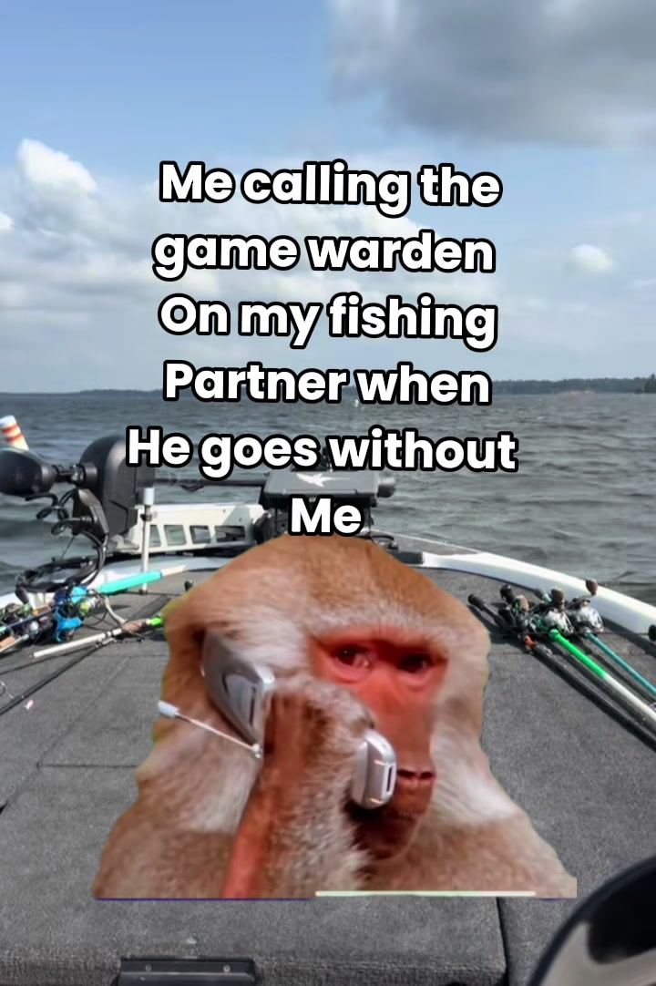 @lanemock2424